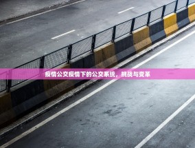 疫情公交疫情下的公交系统，挑战与变革