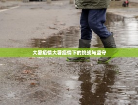 大暑疫情大暑疫情下的挑战与坚守