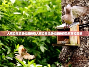 人感染禽流感传播途径人感染禽流感传播途径及其防控策略
