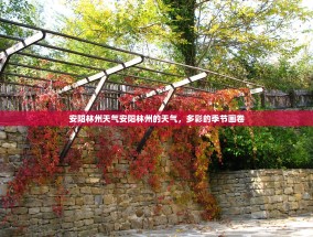 安阳林州天气安阳林州的天气，多彩的季节画卷