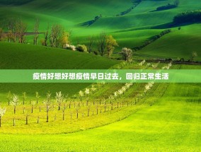 疫情好想好想疫情早日过去，回归正常生活