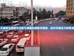 沈阳交通局车辆限号沈阳交通局车辆限号措施，应对交通压力的有效手段