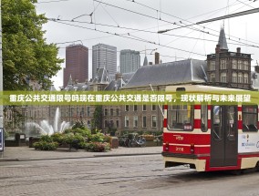 重庆公共交通限号吗现在重庆公共交通是否限号，现状解析与未来展望