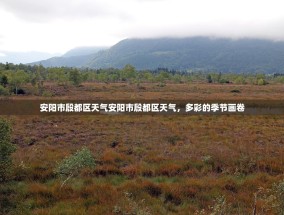 安阳市殷都区天气安阳市殷都区天气，多彩的季节画卷