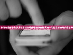 洛阳交通限号在哪儿看洛阳交通限号信息查询攻略—如何查看洛阳交通限号