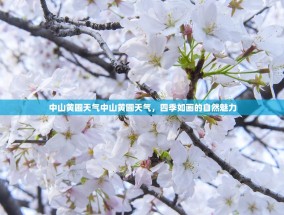 中山黄圃天气中山黄圃天气，四季如画的自然魅力