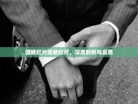 流感烂片流感烂片，深度剖析与反思
