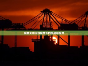疫情天水天水疫情下的挑战与应对