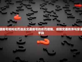 违反交通限号如何处罚违反交通限号的处罚措施，保障交通秩序与安全的必要手段