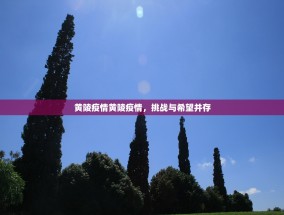 黄陵疫情黄陵疫情，挑战与希望并存