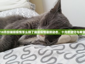 10月份瑞丽疫情怎么样了瑞丽疫情最新动态，十月的坚守与希望