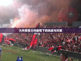大件疫情大件疫情下的挑战与对策