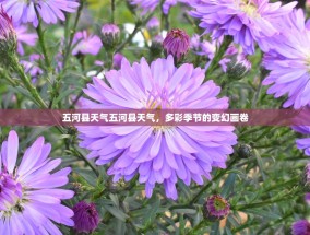 五河县天气五河县天气，多彩季节的变幻画卷