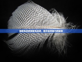 眉眼毛流感眉眼毛流感，揭示自然魅力的秘密