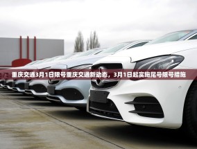 重庆交通3月1日限号重庆交通新动态，3月1日起实施尾号限号措施