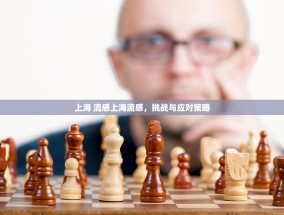 上海 流感上海流感，挑战与应对策略