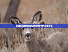 美国流感蝗虫美国流感与蝗虫的双重困扰