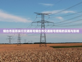 烟台市是否实行交通限号烟台市交通限号措施的实施与影响