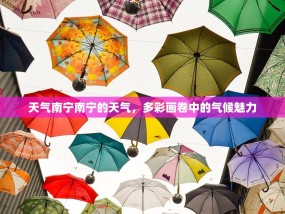 天气南宁南宁的天气，多彩画卷中的气候魅力