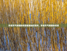 形容天气晴朗的词语邂逅灿烂阳光，形容天气晴朗的词语