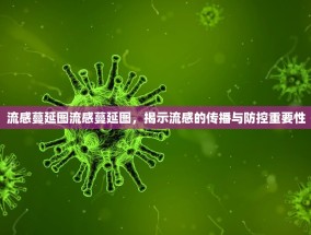 流感蔓延图流感蔓延图，揭示流感的传播与防控重要性