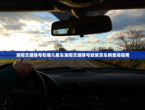 洛阳交通限号在哪儿看车洛阳交通限号政策及车辆查询指南