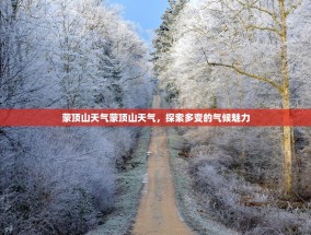 蒙顶山天气蒙顶山天气，探索多变的气候魅力