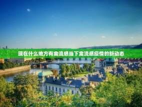 现在什么地方有禽流感当下禽流感疫情的新动态