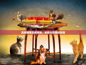 流感猫咪流感猫咪，关爱与照顾的旅程