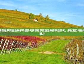 伊犁哈萨克自治州伊宁县天气伊犁哈萨克自治州伊宁县天气，多彩变幻与独特魅力