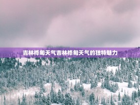 吉林桦甸天气吉林桦甸天气的独特魅力