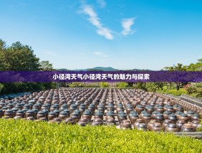 小径湾天气小径湾天气的魅力与探索