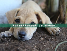 犬副流感病毒犬副流感病毒，了解、预防与治疗