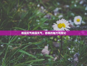 桃园天气桃园天气，四季的魅力与变幻