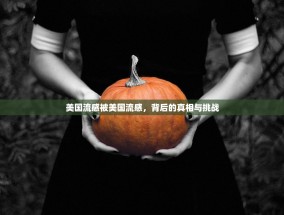 美国流感被美国流感，背后的真相与挑战