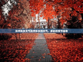 抚州东乡天气抚州东乡的天气，多彩的季节画卷