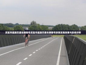 灵宝市道路交通车辆限号灵宝市道路交通车辆限号政策实施效果与影响分析