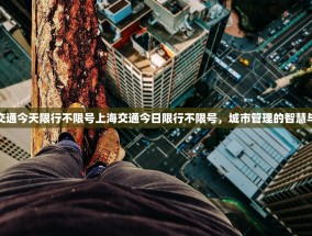 上海交通今天限行不限号上海交通今日限行不限号，城市管理的智慧与策略