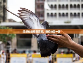 流感也是瘟疫流感，瘟疫的另一面