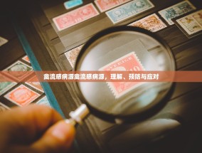 禽流感病源禽流感病源，理解、预防与应对
