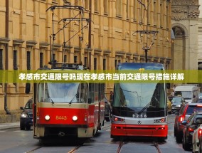 孝感市交通限号吗现在孝感市当前交通限号措施详解
