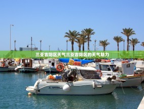 三亚吉阳区天气三亚吉阳区的天气魅力