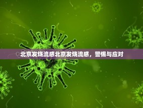 北京发烧流感北京发烧流感，警惕与应对