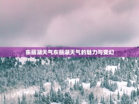 东丽湖天气东丽湖天气的魅力与变幻