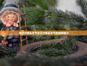 中卫沙坡头天气中卫沙坡头天气的独特魅力