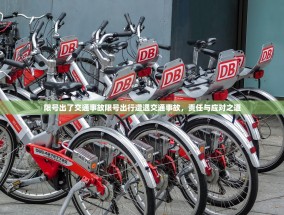 限号出了交通事故限号出行遭遇交通事故，责任与应对之道