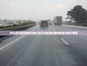 哈尔滨交通管制尾号限行哈尔滨实施交通管制尾号限行措施