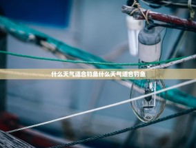 什么天气适合钓鱼什么天气适合钓鱼