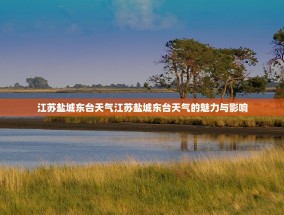 江苏盐城东台天气江苏盐城东台天气的魅力与影响