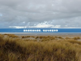 湖东疫情湖东疫情，挑战与希望并存